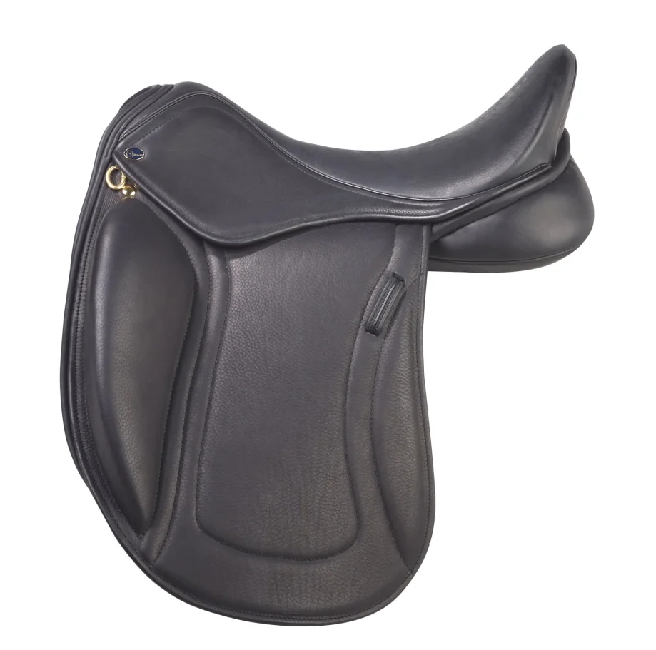 Dressage